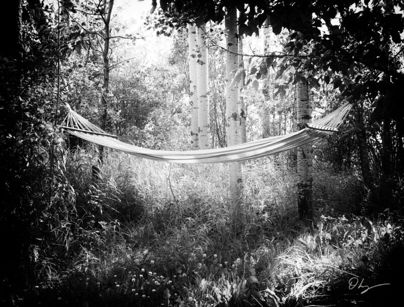 BW10