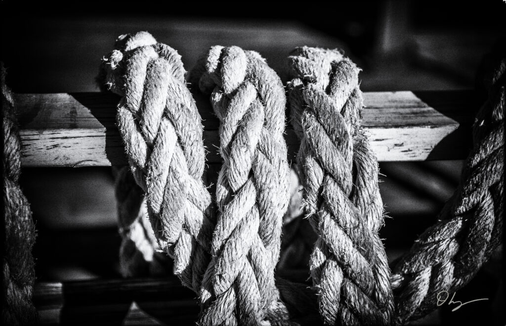 BW1